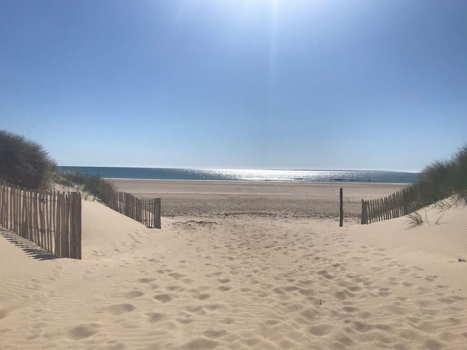 Local beach