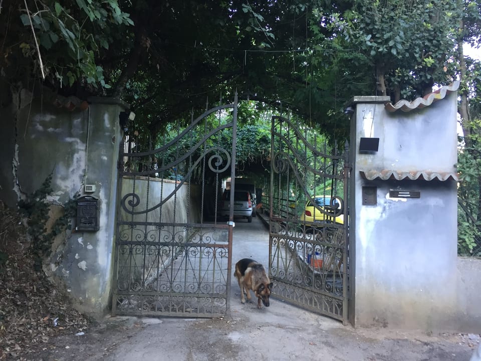 Property grounds