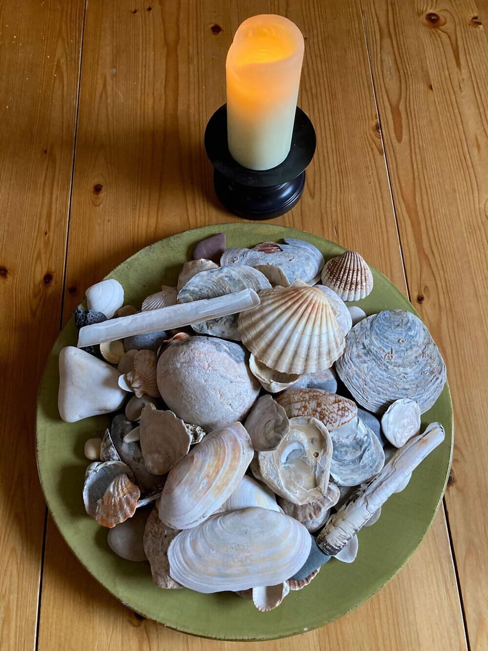 Our visitors add to our shell collection