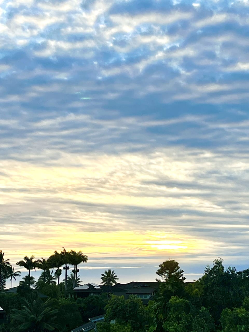 Sunrise Skies