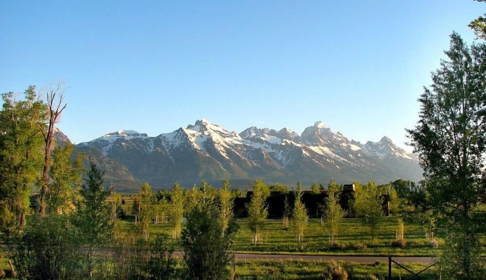 Back Deck View