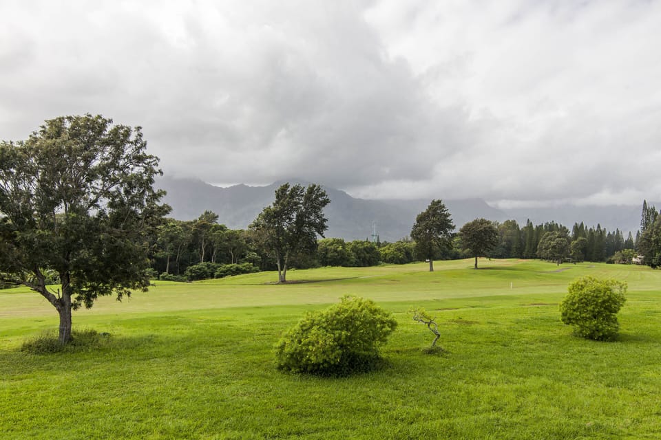 Yard / Golf Course - Yard / Golf Course