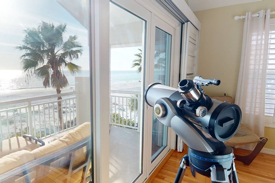 Set your Sights on the Dolphins or Stars