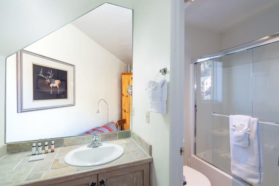 1.04-telluride-double-diamond-3-primary-bathroom