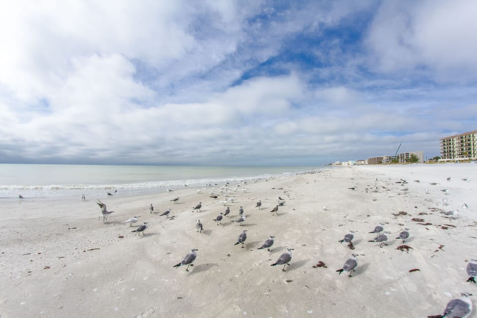 Madeira Beach FL
