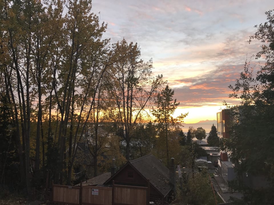 Property Views
