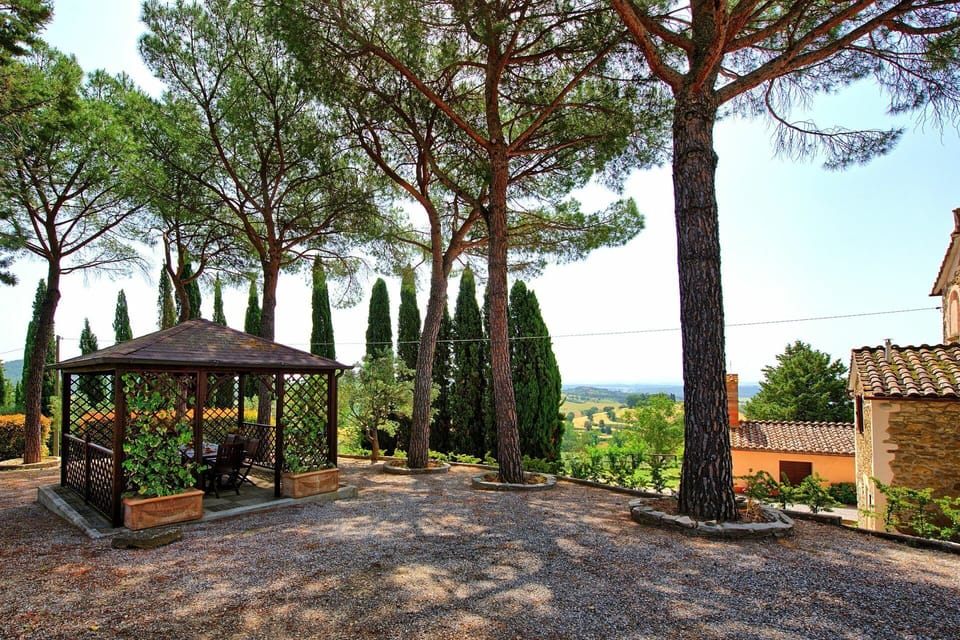 Balcony / Terrace / Patio, Garden, Outdoor, Scenic View