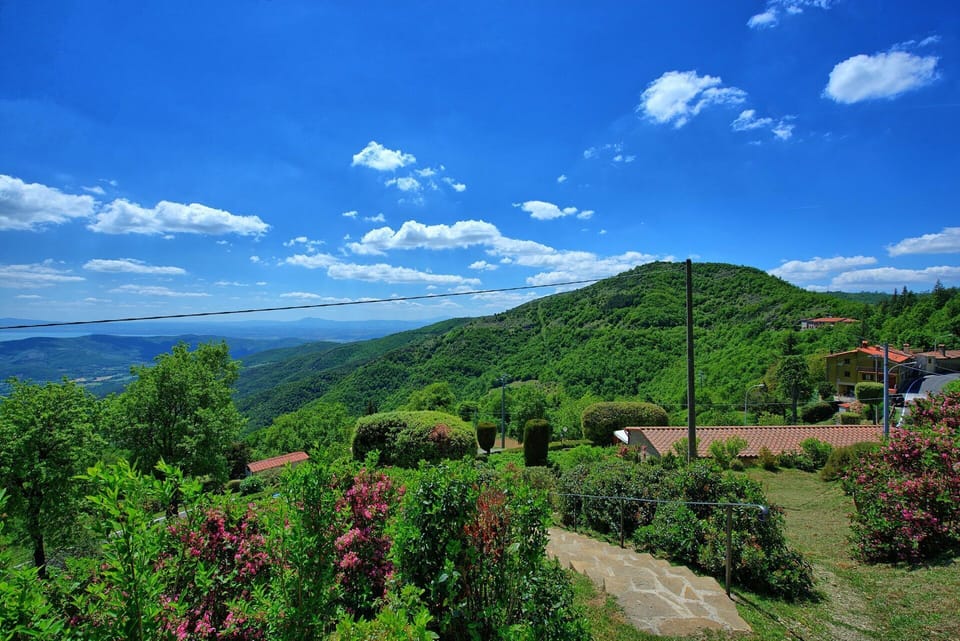 Garden, Scenic View