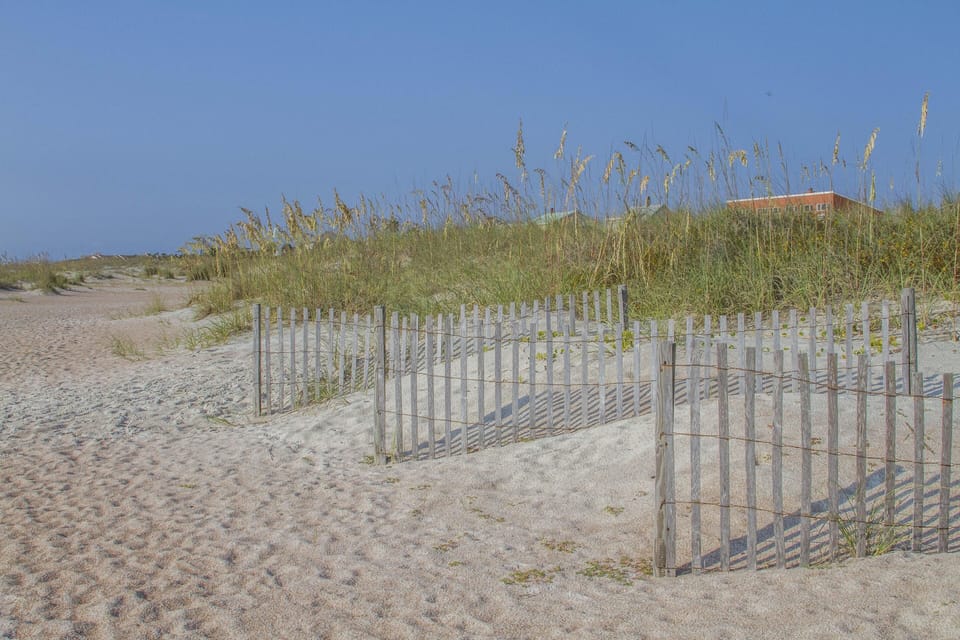 Sandy beach with weathered wooden fencing and tall sea oats under a clear blue sky.