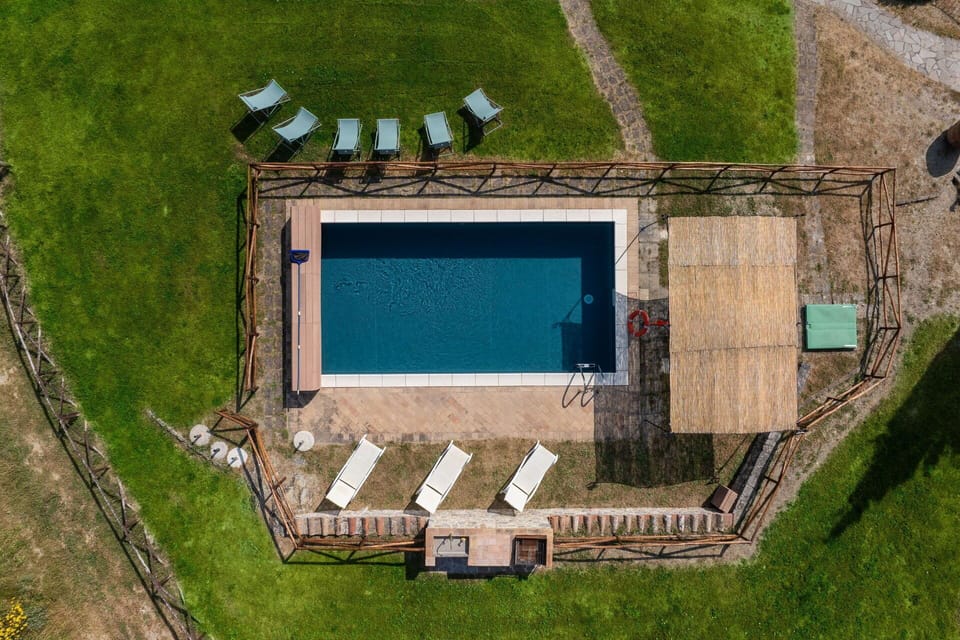 Garden, Outdoor, Pool, Scenic View