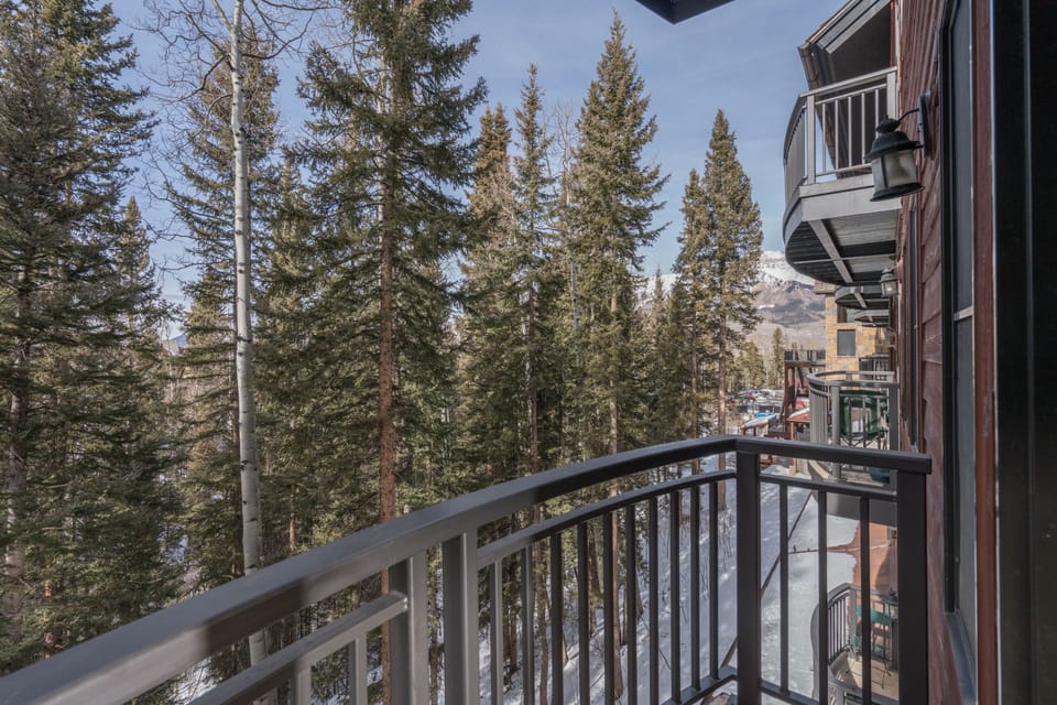 Deck View