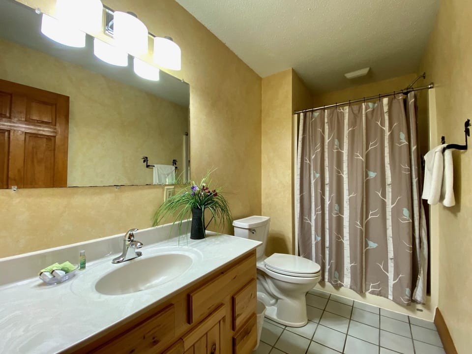 Fireside Downstairs Bathroom