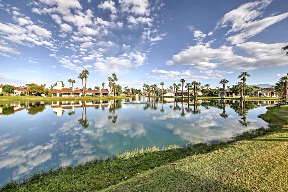 Neighborhood Views