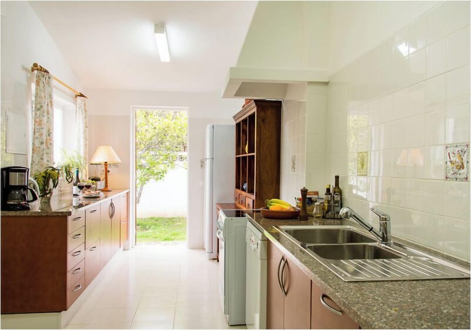 Casa da Figueira's sunny new kitchen with all modern amenities and view of the lemon tree (you are welcome to eat all the fruit!).