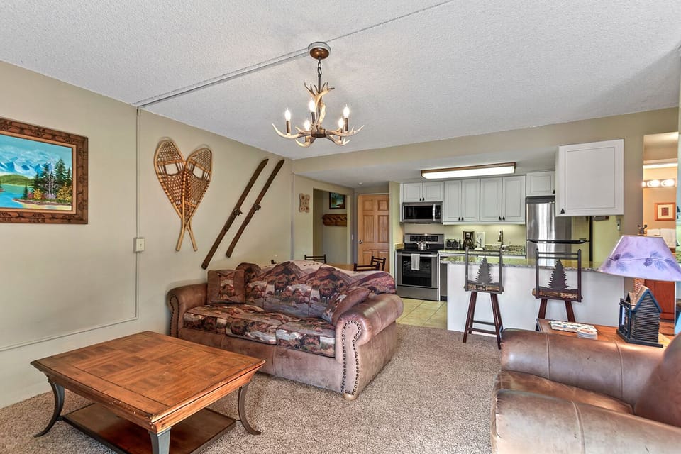Living Room Area