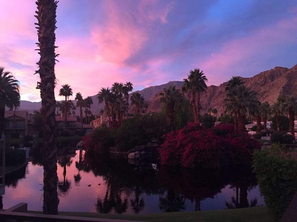 A range of colors, changing every day