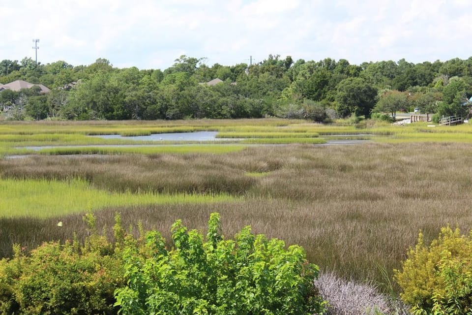 Sundeck with Creek & Marsh View
