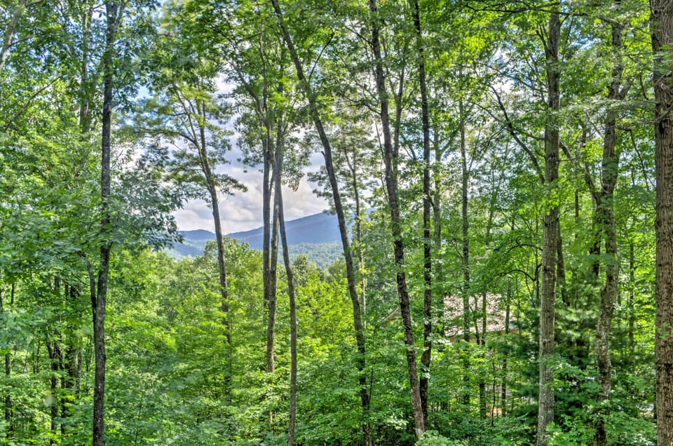 Summertime Mountain Views