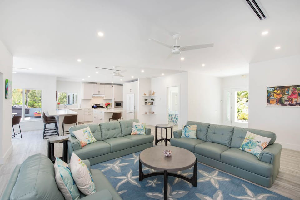 Living area with couches.