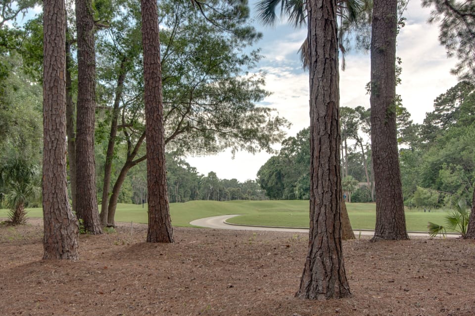 Golf views