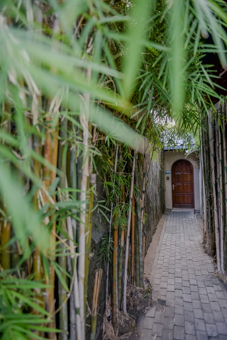walkway to sanctuary..