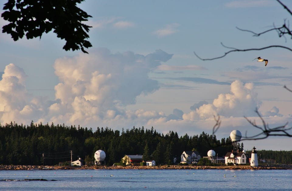 View From Yard