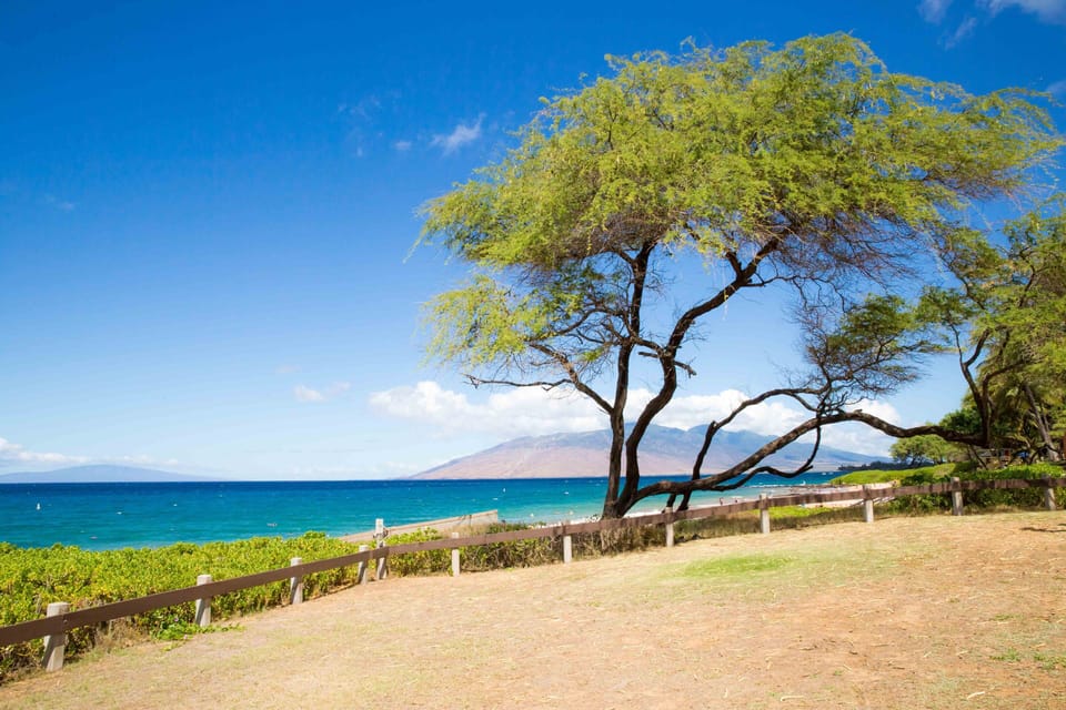 Kamaole Beach Park III - Kamaole Beach Park III