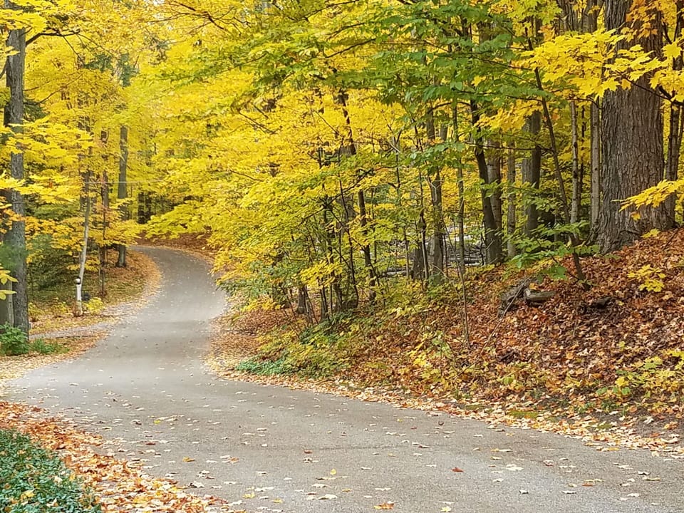 The road leading to Bella Soleil in the fall
