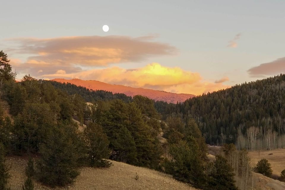 Cabin View