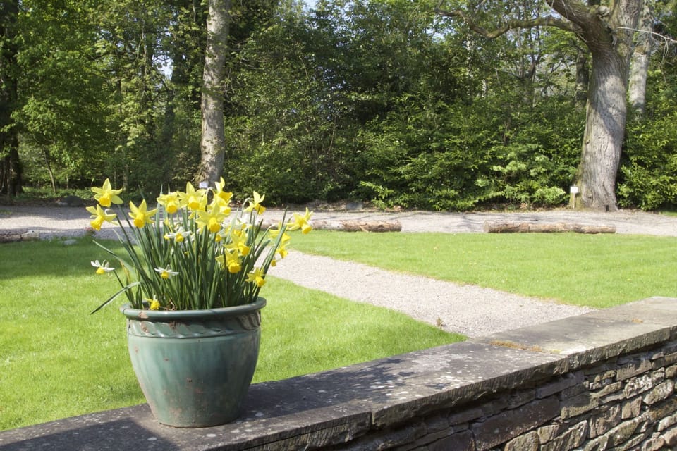 View from the terrace into grassed areas and Kinblethmont woodlands