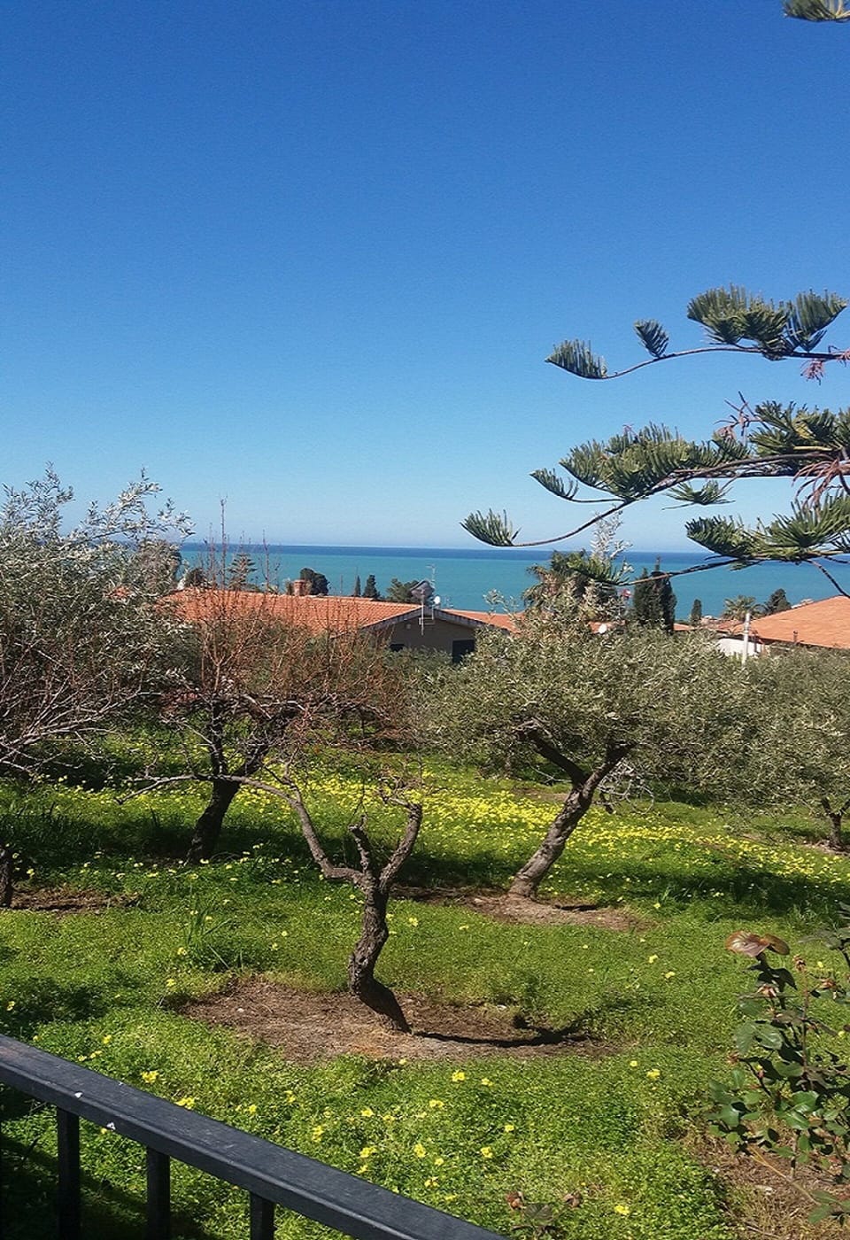 View from property