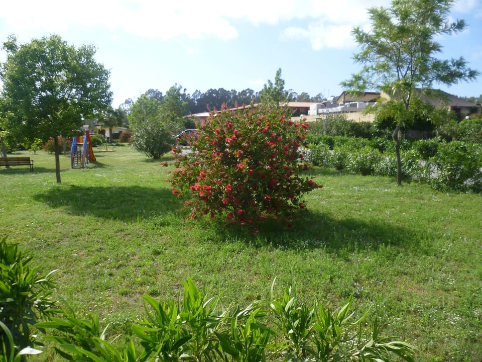 -CHILDREN'S PLAY AREA