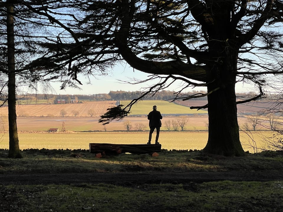 Find some peaceful spots on Kinblethmont estate