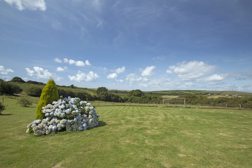 The gardens