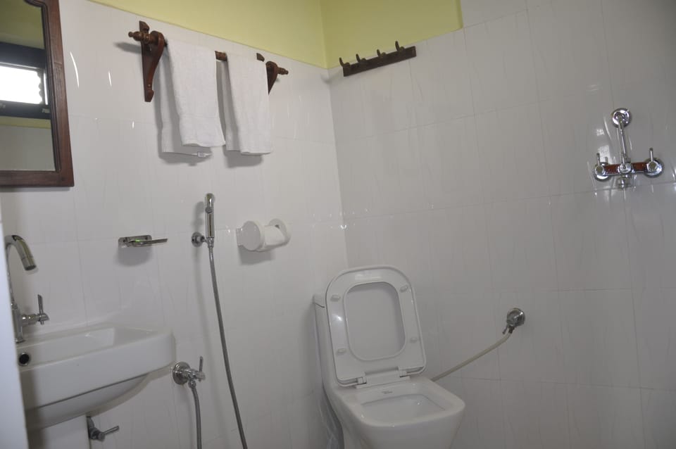 Standard Double Room | Bathroom | Shower, rainfall showerhead, free toiletries, hair dryer