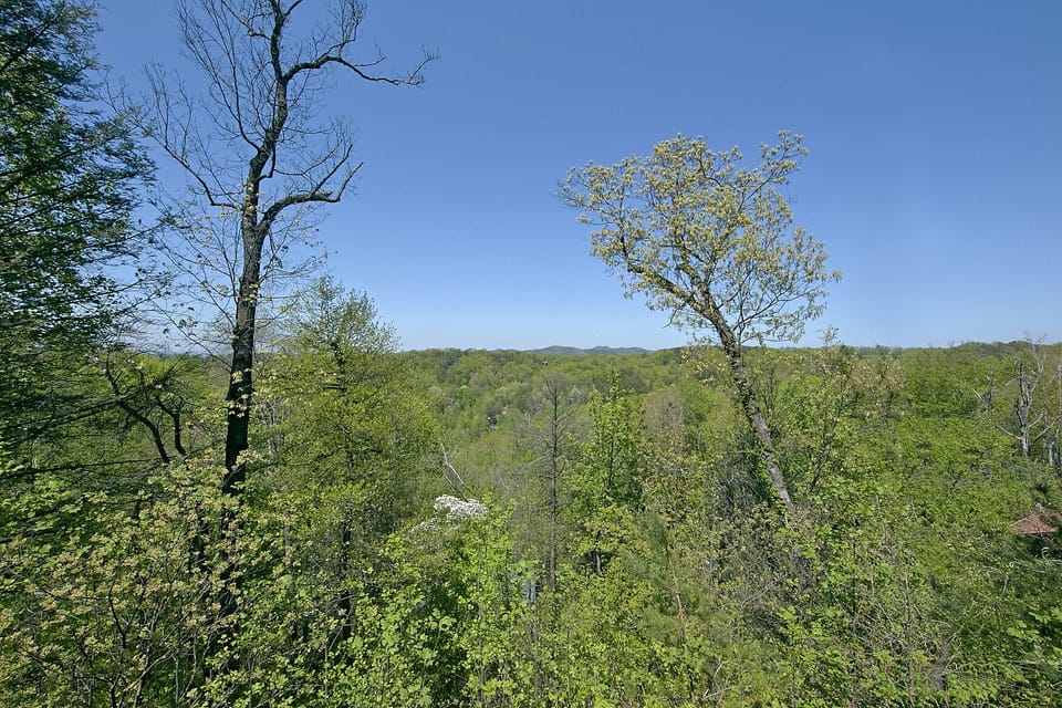 Gorgeous view
