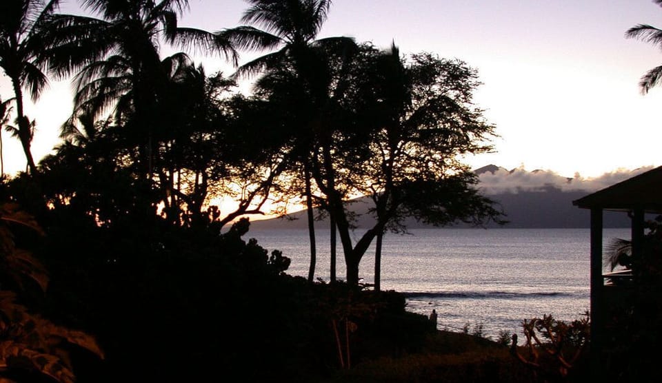 Sunset View