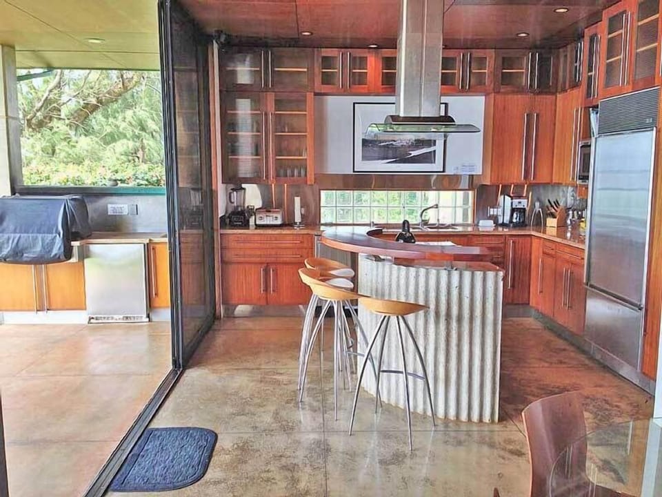 Wonderfully appointed kitchen with top-of-the line appliances - & BBQ outside