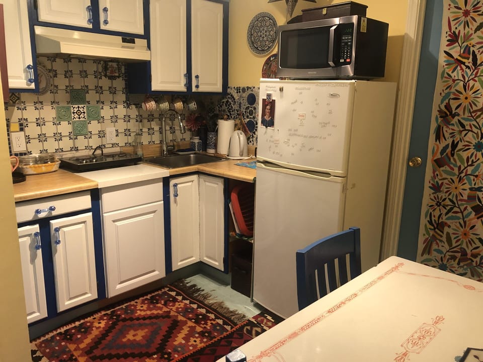 Kitchenette with ceramic electric hot plate for cooking. Microwave and fridge.