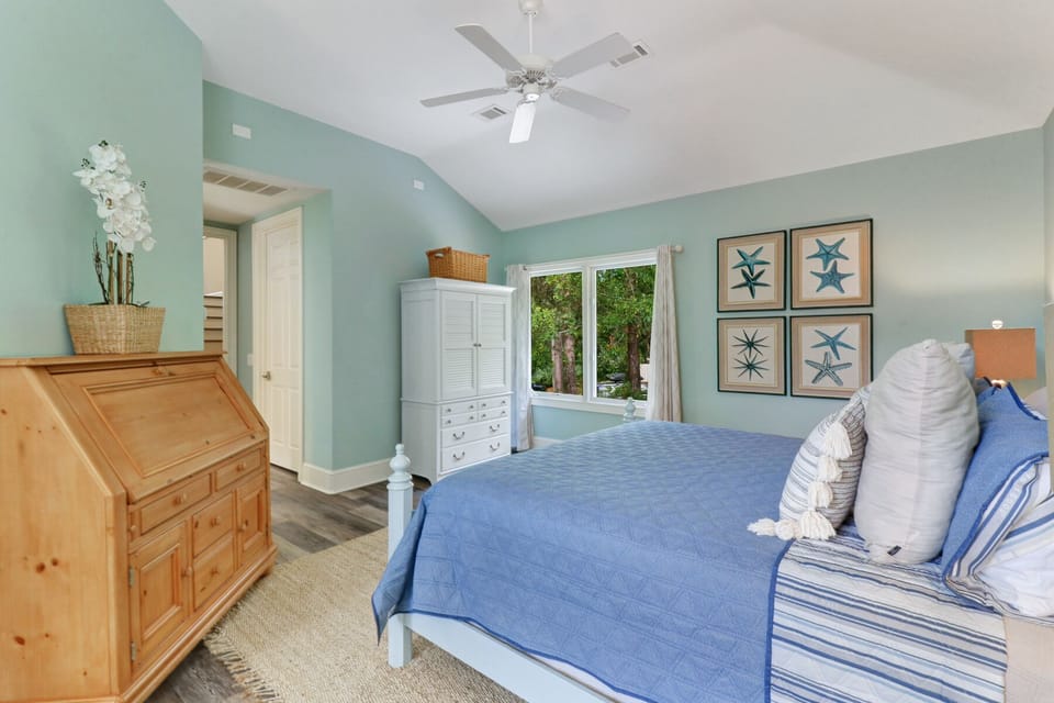 7 Piping Plover - King/Queen (Mid-Level)