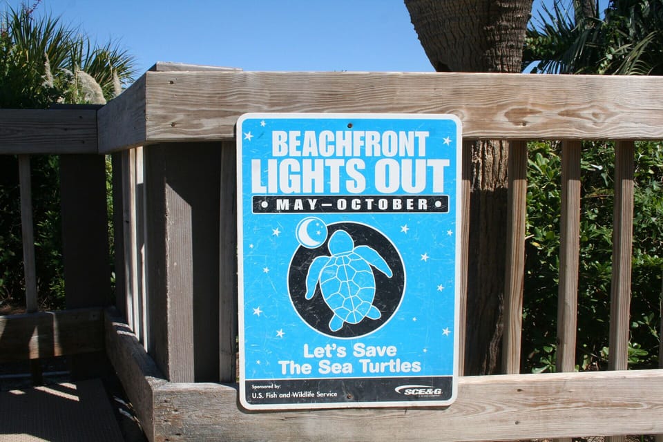 Sea Turtle Season runs May thru October