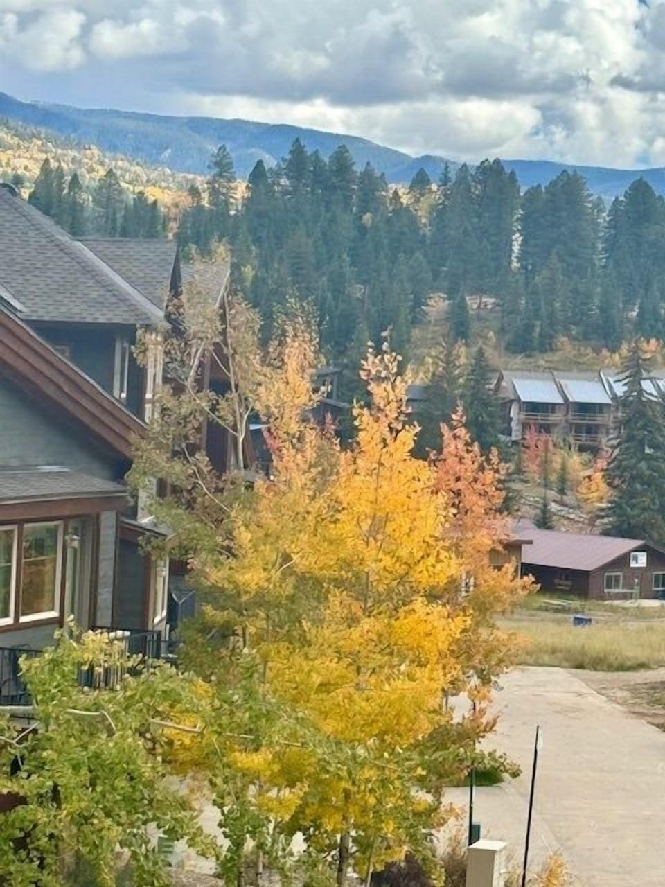 Fall Views