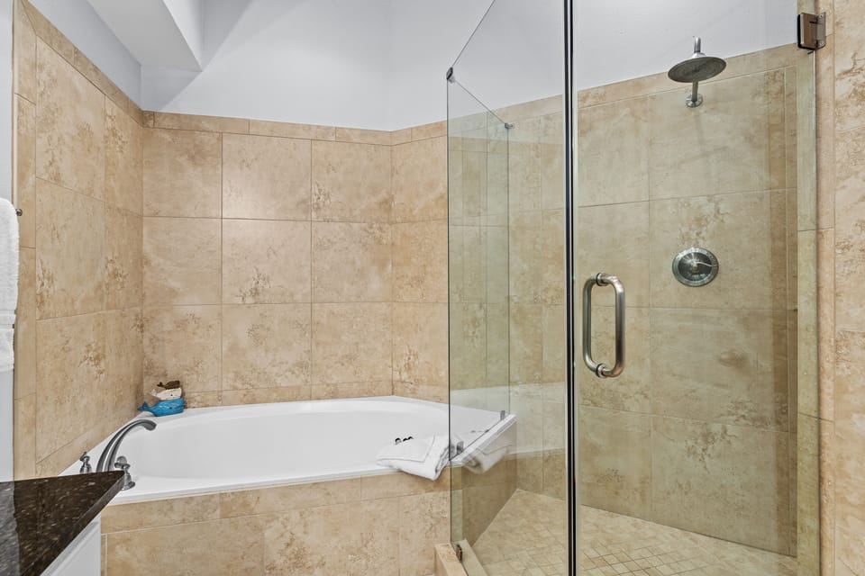 Roman shower and soaking tub