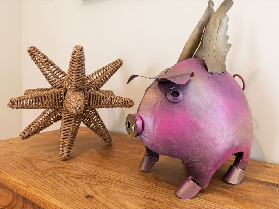 A Flying Pig!