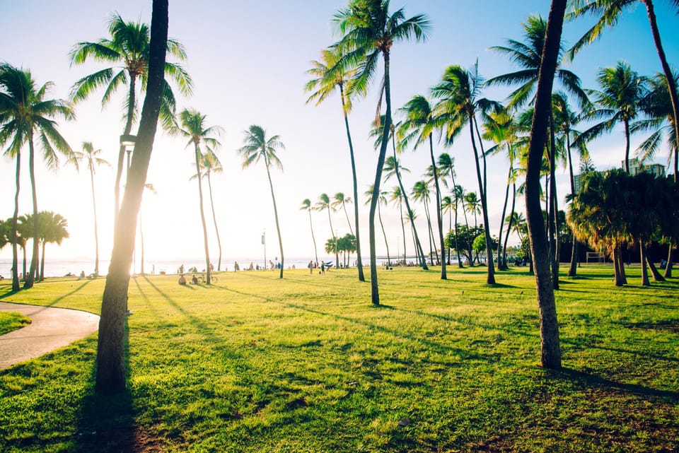 Take a Walk to the Beach Park