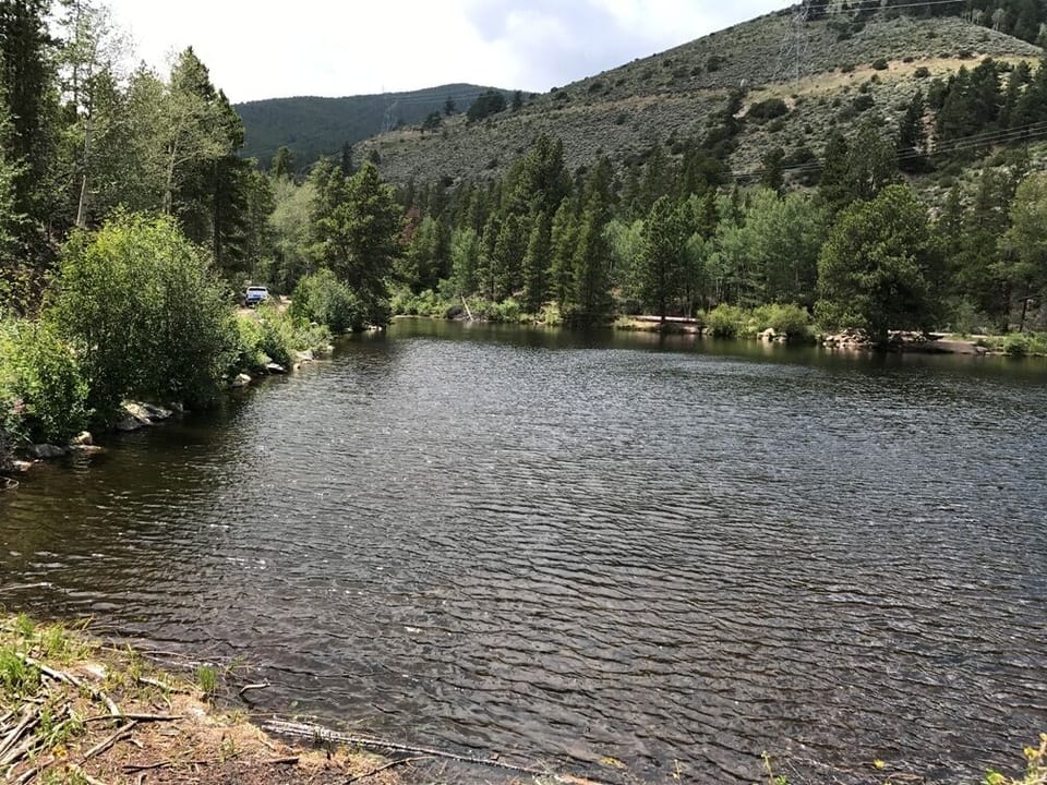 Fooses Lake - Great Fly Fishing