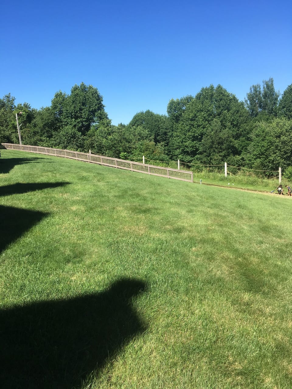 Summer view from deck