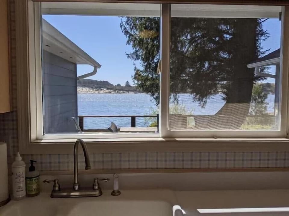 view from the kitchen sink