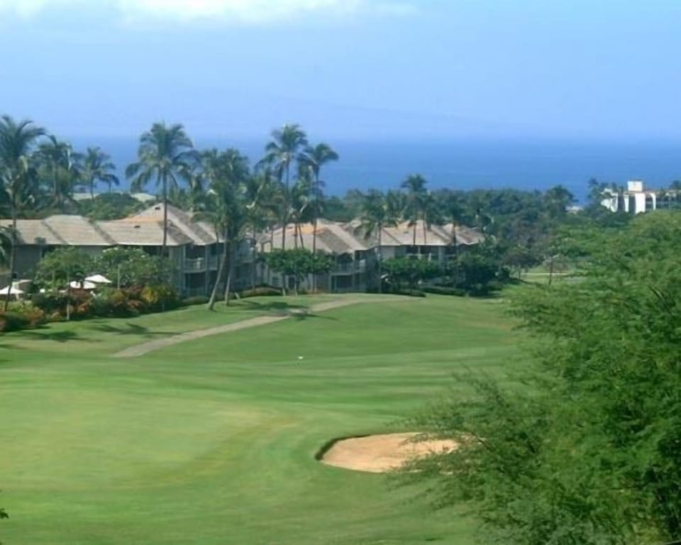 Wailea Golf Course: Palms at Wailea #205