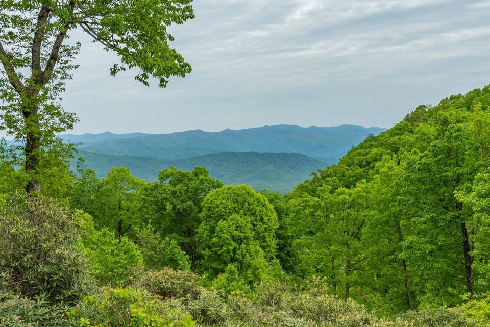 Mountain view from the back deck